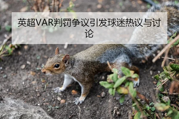 英超VAR判罚争议引发球迷热议与讨论